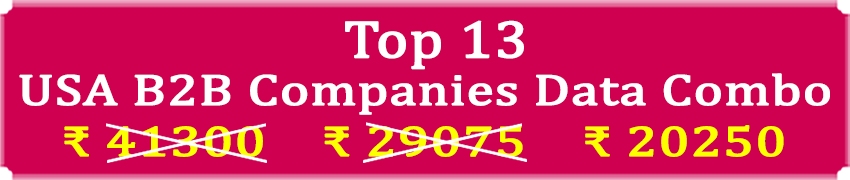 Top 13 Types Super Saving  USA B2B Companies Data Combo - In Excel Format