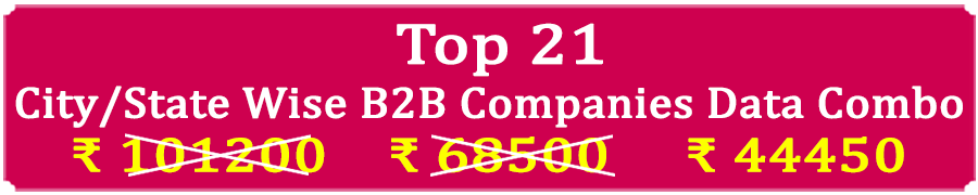  » Top 21 Types Super Saving  City / State Wise B2B Companies Data Combo - In Excel Format 
