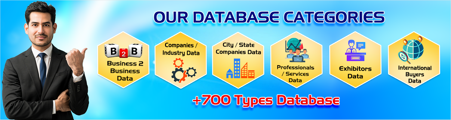 B2B Database