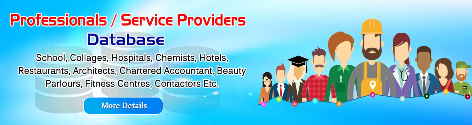 Professional Service Provider 