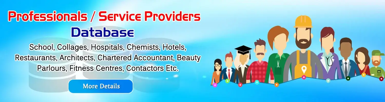 Professional Service Provider 