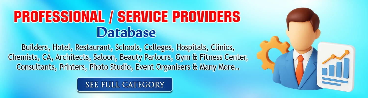 Professional Service Provider 